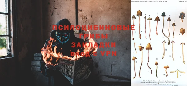 стафф Алзамай