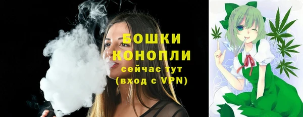 дмт Козельск