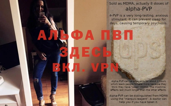 стафф Алзамай
