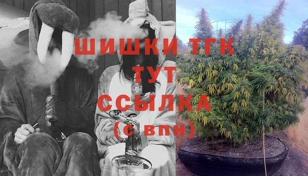 ПСИЛОЦИБИНОВЫЕ ГРИБЫ Алексин
