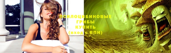 ПСИЛОЦИБИНОВЫЕ ГРИБЫ Алексин