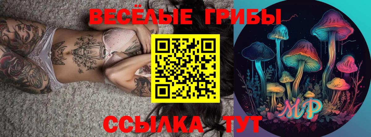 Псилоцибиновые грибы прущие грибы  Галлюциногенные грибы Cubensis  Куйбышев  магазин продажи   Вход с VPN 